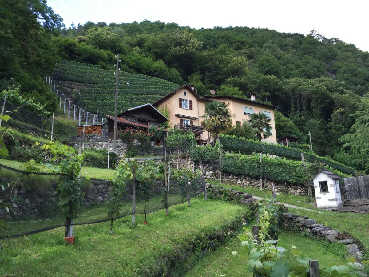 Casa Immersa Nel Vigneto Roveredo 外观 照片
