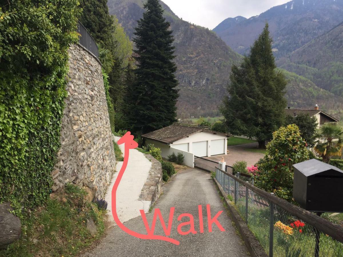 Casa Immersa Nel Vigneto Roveredo 外观 照片